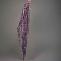 Amaranto stabilizzato - 150 G / Viola