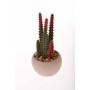 Cactus artificiale verde/rosso in vasetto - 12,7 Cm