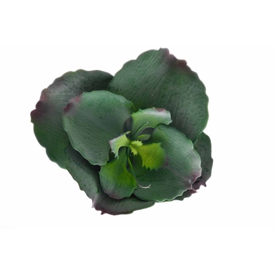 Succulenta artificiale verde in pick - 22 Cm