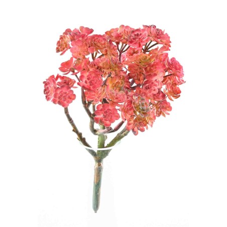 Succulenta artificiale rossa in pick - 24 Cm