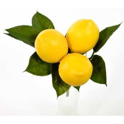 Limoni in pick - 23 Cm / Giallo