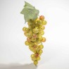 Grappolo d'Uva 25 CM - 2 Colori - Giallo