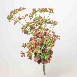 Kalancoe artificiale rossa in pick - 24 Cm