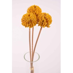 Mazzo di fiore di Aglio composto da 3 steli - 45 Cm in vari colori - Giallo scuro