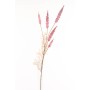 Astilbe in ramo con 5 fiori 82 cm - Rosa