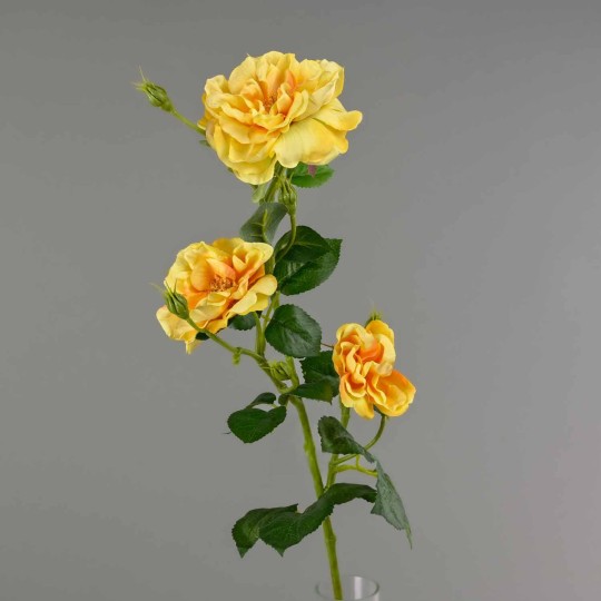 Rosa ramificata  - 72 Cm in due colori - Giallo