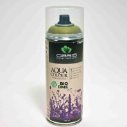 Spray "Acqua Color" 400 Ml - Verde muschio chiaro