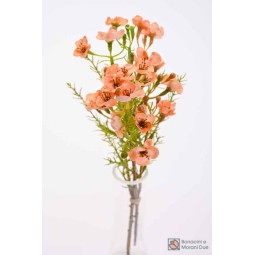 Wax Flower 25 Cm - Mazzo / Pesca
