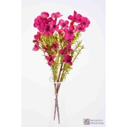 Wax Flower 25 Cm - Mazzo / Fuxia