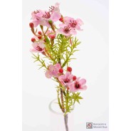 Wax Flower 25 Cm - Mazzo / Rosa