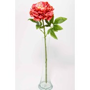 Peonia in ramo - 60 cm colore pesca