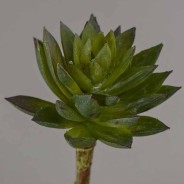 Succulenta artificiale verde in pick - 12 Cm