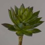 Succulenta artificiale verde in pick - 12 Cm