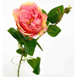 Rosa in ramo con bocciolo - 60 Cm  in vari colori - Rosa