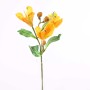 Alstromeria 39 cm 3 fiori e 3 boccioli Assortiti Pesca o Giallo