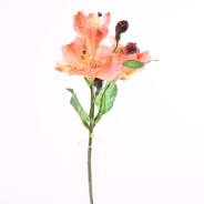 Alstromeria 39 cm 3 fiori e 3 boccioli Assortiti Pesca o Giallo