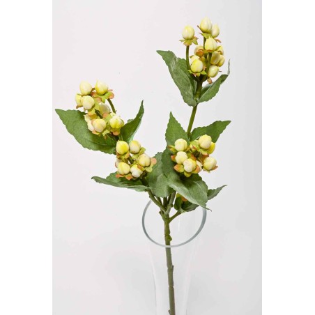 Hypericum in stelo - 47 CM in due colori - Crema