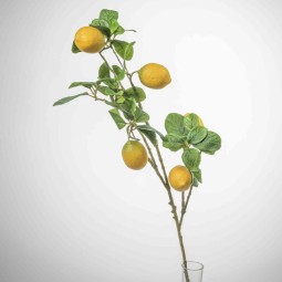 Limoni in ramo - 84 Cm