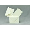 Bigliettini e buste 100 Pezzi - 7x11 Cm / Avorio