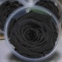 Rose Stabilizzate in vari colori - Confezione 6 pezzi - Nero LL BLA 01