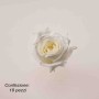 Rose Stabilizzate in vari colori - Confezione 18 pezzi - Bianco XS WHI 01