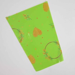 Coni stampati per mimosa 100 Pezzi 35 My - 15x10x20 Cm / Verde con cuori