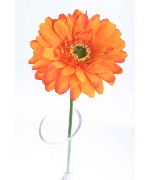 Gerbera singola in stelo 47 CM - Vari Colori - Arancione