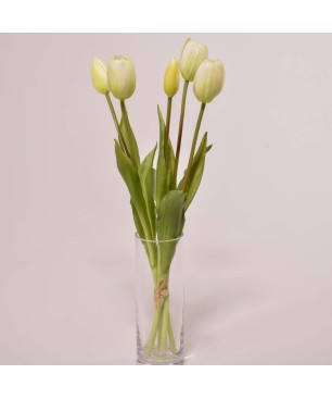 Tulipani "Real touch" - Crema