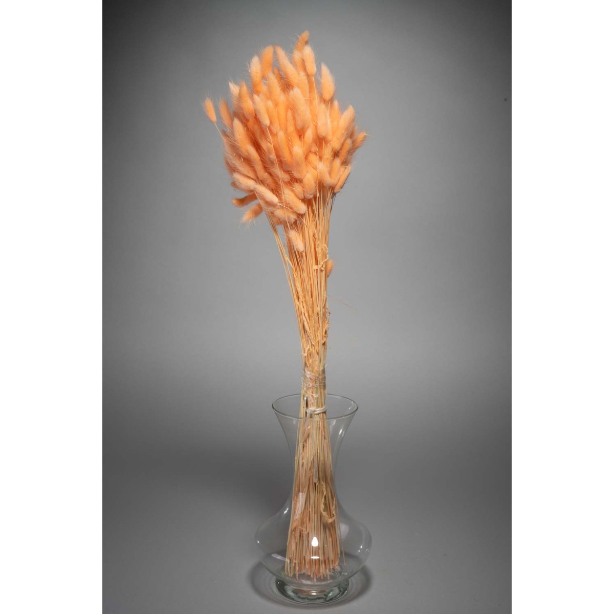 Lagurus essiccato 100 G - Melone