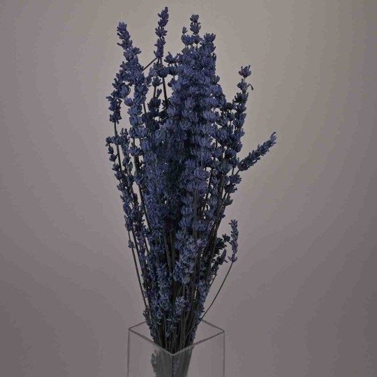 Lavanda stabilizzata in mazzo - 150 G