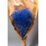 Gipsophila essiccata  50 G - Blu