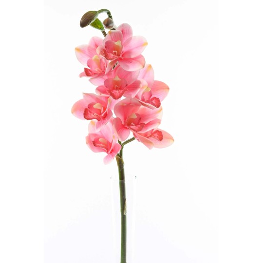 Ramo di Orchidea Cymbidium -Fucsia