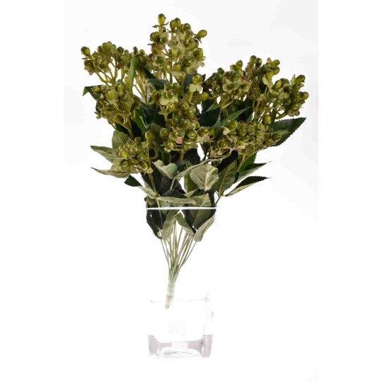 Mazzo di Hypericum verde (A22106) F88