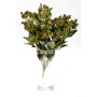 Mazzo di Hypericum verde (A22106) F88