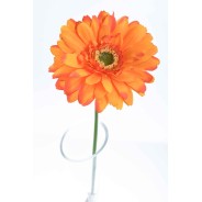 Gerbera singola in stelo 47 CM - Vari Colori - Arancione