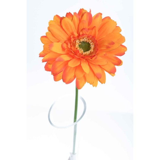 Gerbera singola in stelo 47 CM - Vari Colori - Arancione