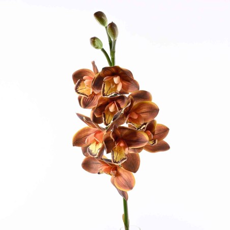 Ramo di Orchidea Cymbidium - marrone