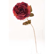 Rosa singola in stelo 66 CM - Vari Colori - vinaccia