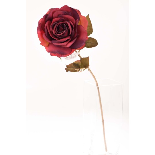 Rosa singola in stelo 66 CM - Vari Colori - vinaccia