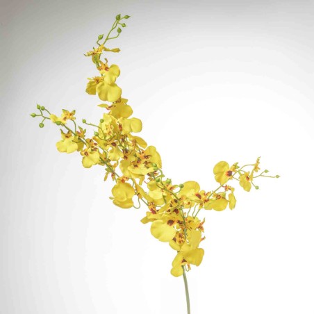 Onicidium - 102 CM - Giallo