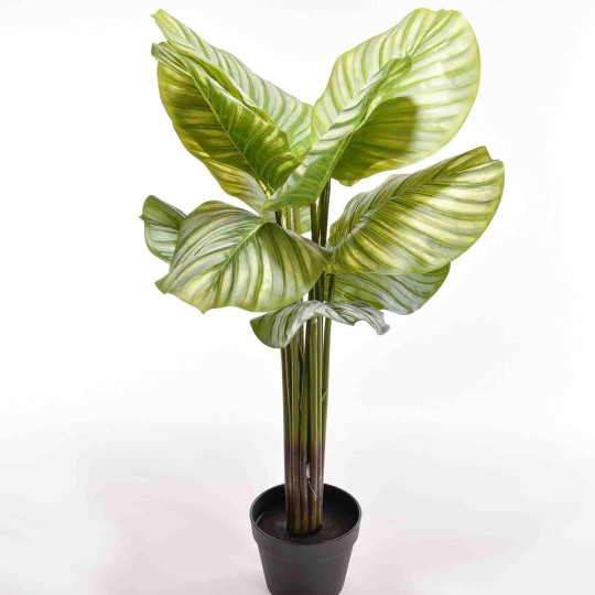 Calathea Horbifoglia artificiale in vaso - 90 Cm