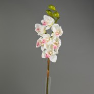 Ramo di cymbidium artificiale natural touch 80 cm  - Crema