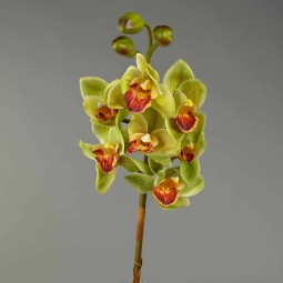 Ramo di cymbidium artificiale natural touch 80 cm  - Verde