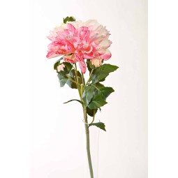 Dalie in tralcio - 55 Cm - disponibile in vari colori - Rosa sfumato