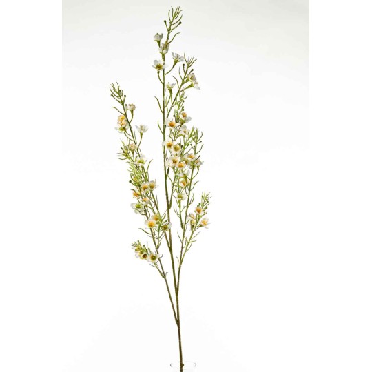 Stelo di wax flower (fiore di cera) 110 cm. in vari colori - Bianco