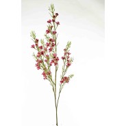 Stelo di wax flower (fiore di cera) 110 cm. in vari colori - Fucsia