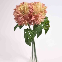 Dalie in mazzo da 6 steli . - 46 Cm in vari colori - Rosa