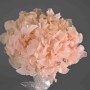 Ortensia Stabilizzata - Rosa pastello