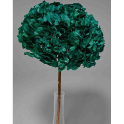 Ortensia stabilizzata - Verde acqua