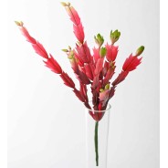 Succulenta artificiale rossa in ramo - 32 Cm